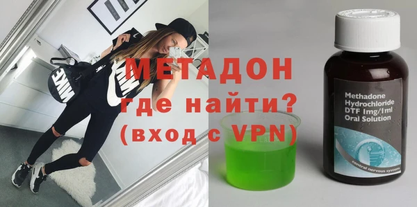 прущие грибы Богданович
