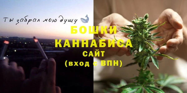 прущие грибы Богданович