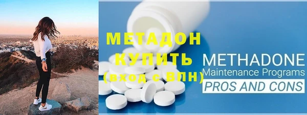 прущие грибы Богданович