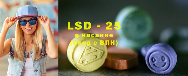 прущие грибы Богданович