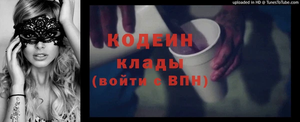 прущие грибы Богданович