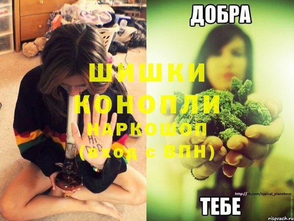 тгк Богородск