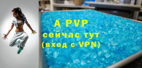 прущие грибы Богданович