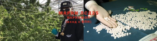 тгк Богородск