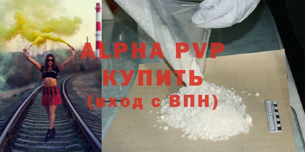 прущие грибы Богданович