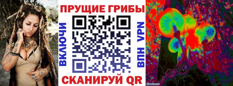 сколько стоит  Бутурлиновка  Галлюциногенные грибы Psilocybine cubensis 